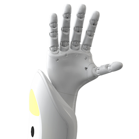 humanoid robot assistant