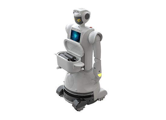 intelligent humanoid robot, humanoid AI robot, AI robot
