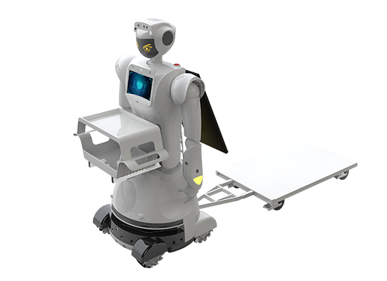 intelligent service robot, humanoid service robot, hotel robot