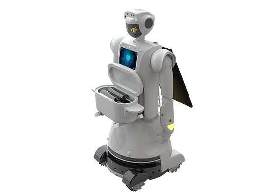 service robotics, humanoid robotics, AI and robotics
